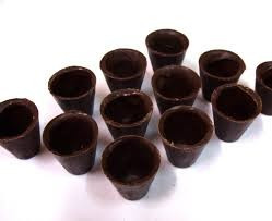 Copos de Chocolate para Licor de Ginja - 53 units
