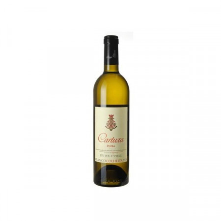 Vinho branco alentejano "Cartuxa"