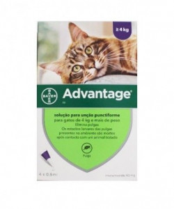 Pack 4 Bayer Advantage 80 Cat over 4kg - free shipping