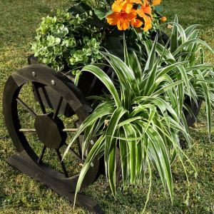 JAN1 - Jardiniera trandafiri roata pentru gradina, terasa, balcon - Neagra