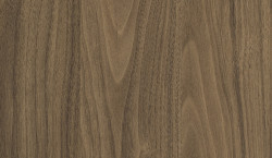 Laminate Egger H3710 Nuc Carini natur ST12