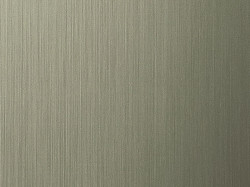 Folie decorativa DL Folie Titan brushed