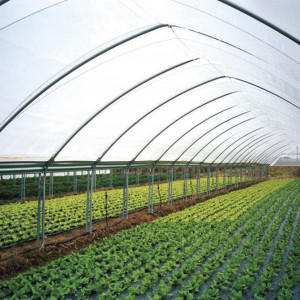 Folija za plastenike 200mic Patilux (širina 8.5m)