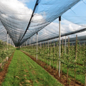 Mreža protivgradna 6x100m 40g