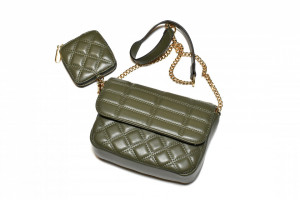 TORBA-T032208OLV
