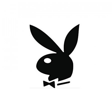 Stiker Abtibild autocolant *PLAYBOY*