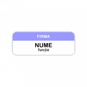 EC11 Ecuson Personalizat metalic 2.5x7cm cu sistem de prindere