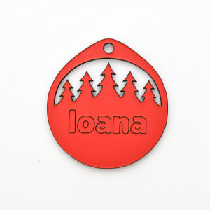Glob personalizat cu nume , ornament pom de Craciun-3