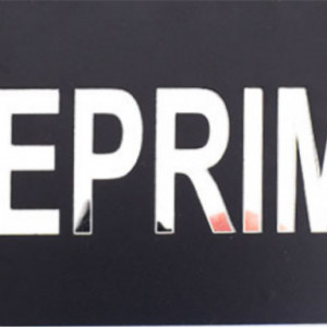 Placuta informativa de perete sau usa, VICEPRIMAR , 20x8 cm, efect oglinda