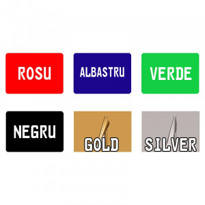 Placa Auto Personalizata cu Numele tau *LOGO masina * 52X11cm Standard pentru suportul auto