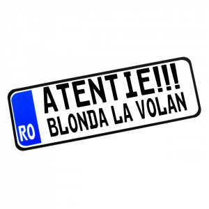 Placa Auto Personalizata (mesaj predefinit) 30x10cm