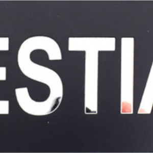 Placuta informativa de perete sau usa, VESTIAR , 20x8 cm, efect oglinda