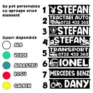 Placa camion luminoasa personalizata cu nume, mesaj, logo + controler lumini