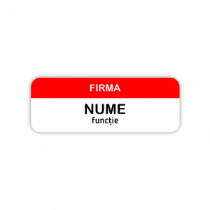 EC11 Ecuson Personalizat metalic 2.5x7cm cu sistem de prindere