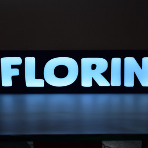 Placa led luminoasa interior camion 55x13 cm cu nume