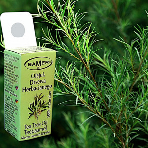 Ulei Esential Tea Tree, Natural 100 la suta