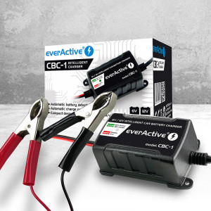 Incarcator cu Procesor EverActive CBC-1 pentru acumulatori 6-12V foto 5