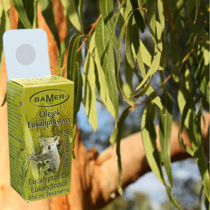 Ulei Esential Natural Eucalipt, 100 la suta natural