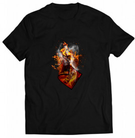 THE FLAME