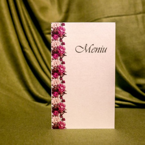 Meniuri nunta 5028