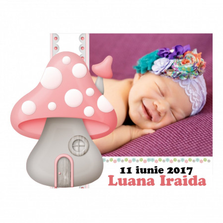 Magnet Contur Ciupercuta 6