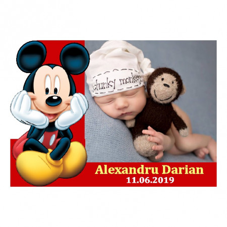 Magnet Contur Mickey Mouse 14