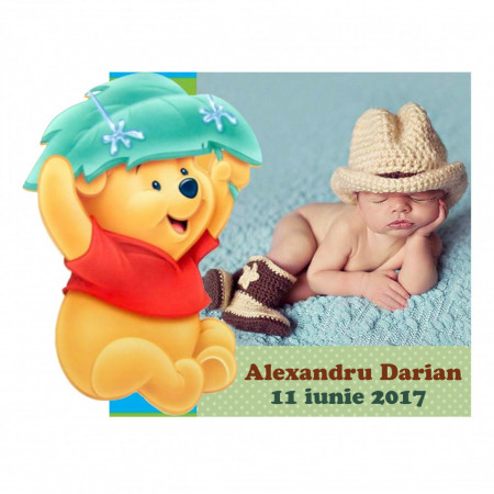 Magnet Contur Winnie the Pooh