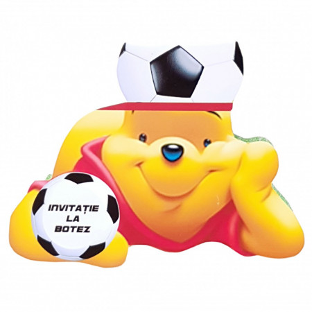 Invitatii Botez Contur Winnie 2