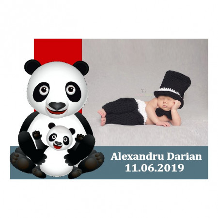 Magnet Contur Ursulet Panda