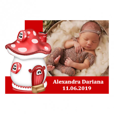 Magnet Contur Ciupercuta 10