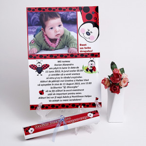 Invitatie Botez Papirus Buburuz 2