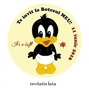 Invitatie Botez Rotunda Duffy Duck