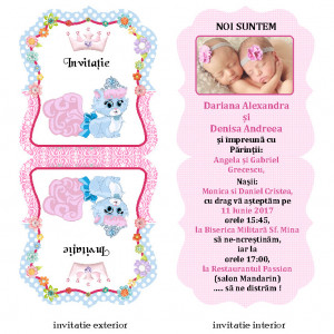 Invitatie Gemeni Contur Disney 24