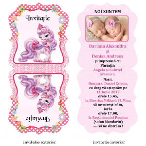 Invitatie Gemeni Contur Disney 35