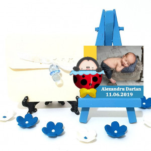 Magnet Contur Buburuz