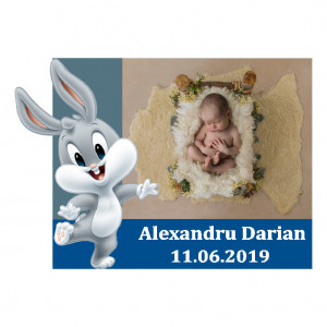 Magnet Contur Bugs Bunny 8