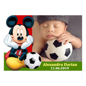 Magnet Contur Mickey Mouse 24