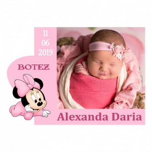 Magnet Contur Minnie Mouse 11
