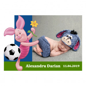 Magnet Contur Piglet 4