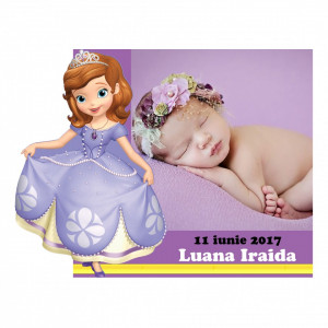 Magnet Contur Printesa Sofia 1