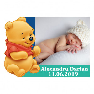 Magnet Contur Winnie The Pooh 17