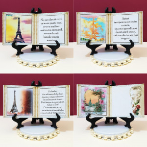 Marturie Nunta Carticica Paris in Love 1