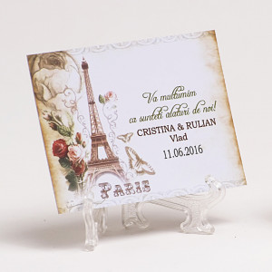 Marturie Nunta Magnet Paris in Love