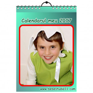 Calendar de perete Silver MOD 41