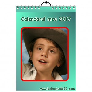 Calendar de perete Silver MOD 46