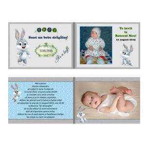 Invitatie Botez Dubla Baby Bugs Bunny