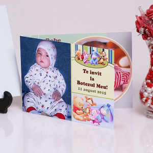 Invitatie Botez Dubla Winnie the Pooh si Prietenii