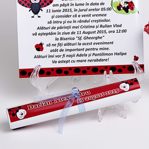 Invitatie Botez Papirus Buburuz 2
