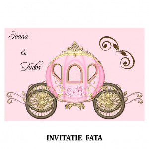 Invitatie Nunta Carte Postala INCP59