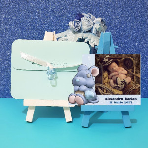 Magnet Contur Animalute Plusate